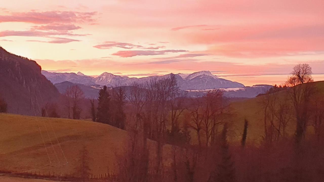 Gite & Spa Le Clos De Mon Pere Rochefort  エクステリア 写真