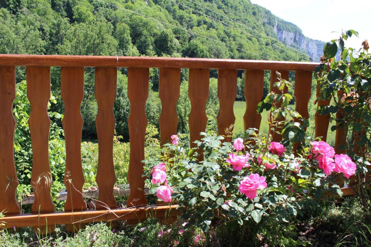 Gite & Spa Le Clos De Mon Pere Rochefort  エクステリア 写真